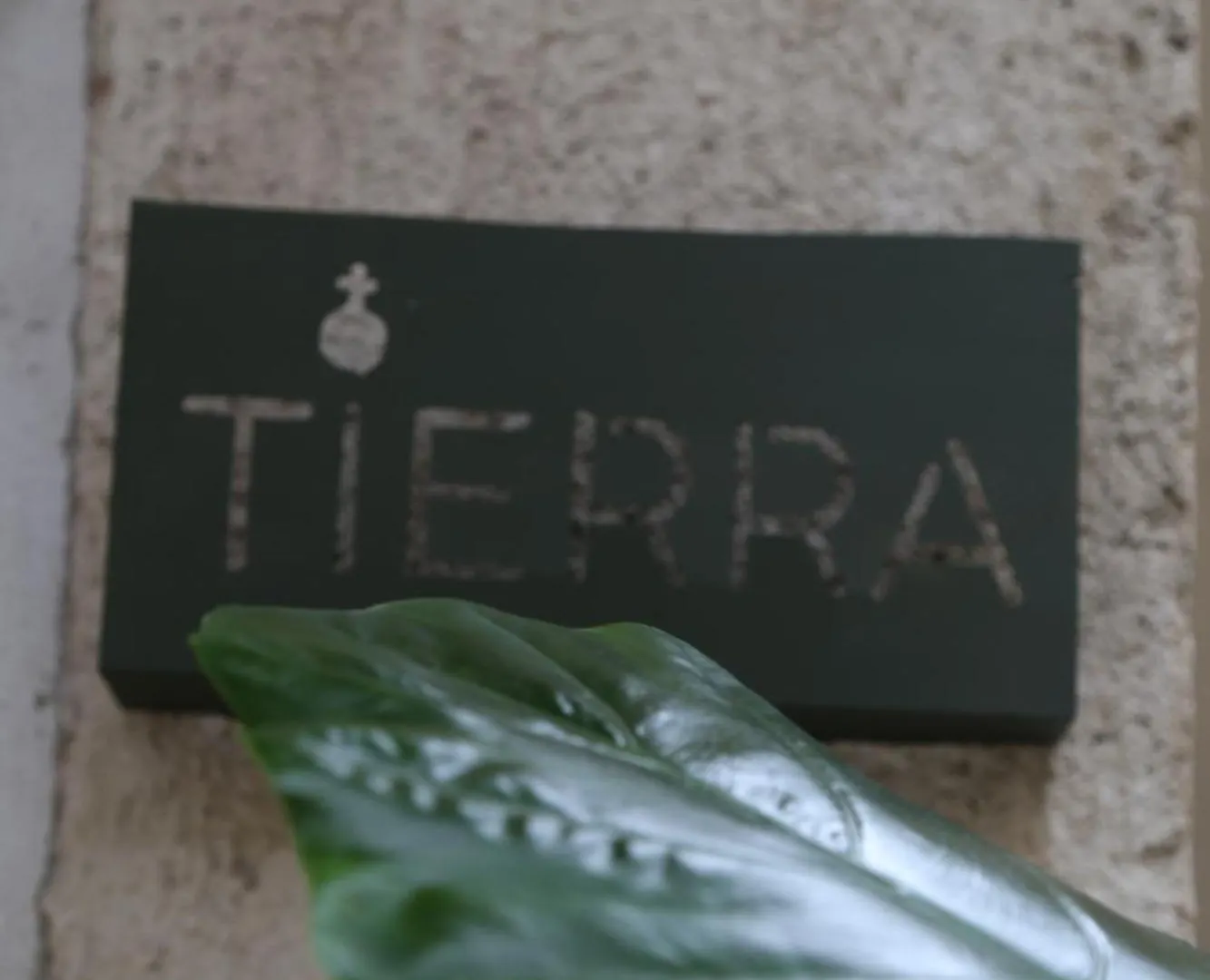 Ama Y Prana Hotel Tulum