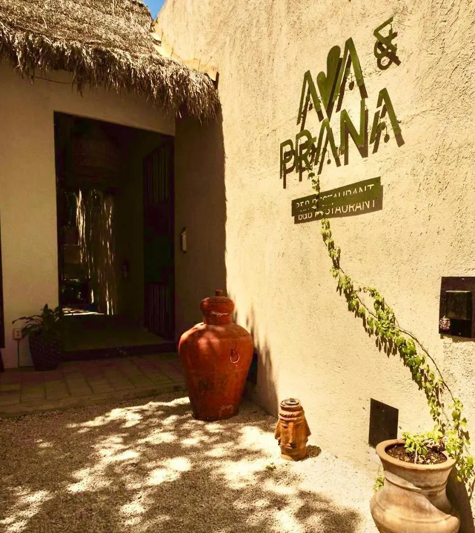 Ama Y Prana Hotel Tulum